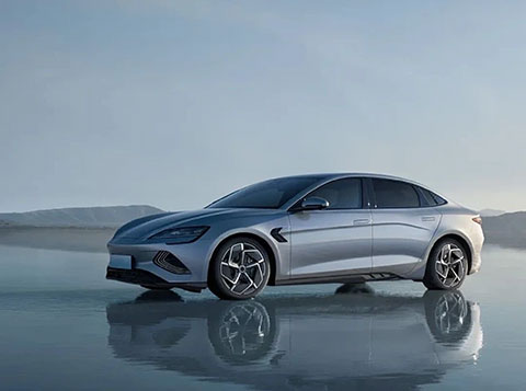 WSBK Team Celebration